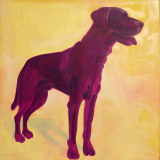 Jagdhund Magenta